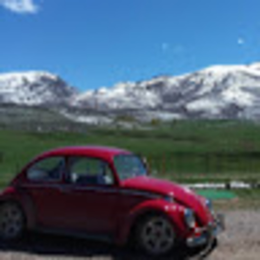 Meet your Posher, Lindey